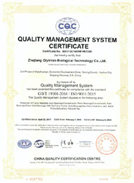 Quality Management System Certificate